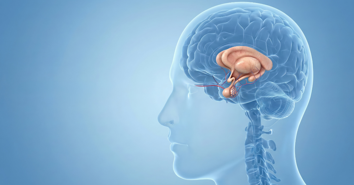 neurology appointment